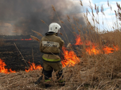 В Воронежской области установился 4 класс пожарной опасности из-за жары