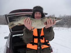  «4 см лёд ....трещит ....опасно....ловлю!»: борисоглебские  рыбаки выкладывают фото и видео первых зимних трофеев