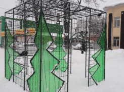 В Борисоглебске разыскивают вандалов, повредивших новогоднюю инсталляцию