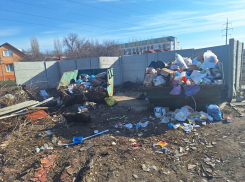 «Борисоглебск - не город-мечта, а мусорная свалка»: жительница города – о благоустройстве