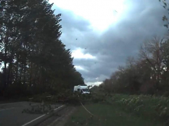 Последствия урагана сняли на видео в Воронежской области