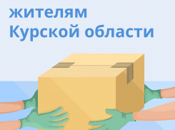 В Воронежской области  объявлена  акция «Поможем жителям Курской области!»