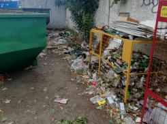 Жительница Северного микрорайона Борисоглебска пожаловалась на избирательный подход к вывозу мусора