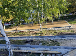 Деревья в цементе: жительницу Борисоглебска возмутил ход строительства нового парка на Аэродромной