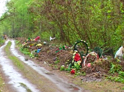 Во что превратился лес возле «старого» кладбища города Борисоглебска