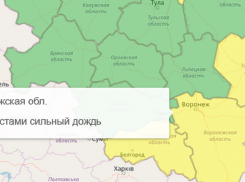 Желтый уровень опасности объявили в Воронежской области из-за дождей