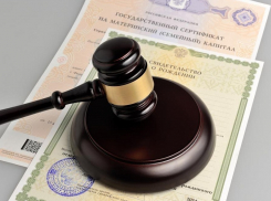 Две многодетные матери из Терновского района добились права на региональный маткапитал