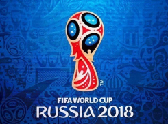 В Воронежской области заработает горячая линия для болельщиков Чемпионата мира по футболу