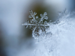 Снегопады, мороз и сильный ветер накроют  Воронежскую область 