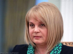 Проблемная область. ЦИК: чиновник не может быть наблюдателем на выборах