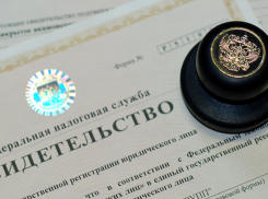 Налоговая инспекция рассказала о преимуществах использования типовых уставов для ООО