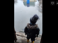 Видео дня: в г.Борисоглебске Воронежской области маленький мальчик не может выйти из затопленного дома