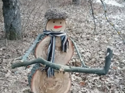 В качестве ответа на малоснежные зимы в Грибановском районе появились древовики