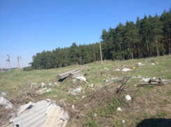 Прокуратура Грибановского района потребовала от местных властей ликвидировать 15 несанкционированных свалок