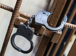 Студента будут судить за госизмену и попытку диверсии в Воронежской области