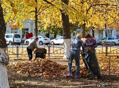 Ударить по мусору и беспорядку коллективным трудом призвал борисоглебцев Александр Леонов