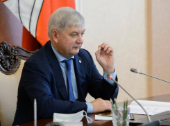 Губернатор поручил возместить пострадавшим жителям Воронежской области ущерб от пожаров