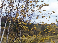 На Воронежскую область обрушится сильный северо-западный ветер