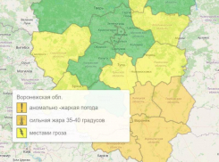 Гидрометцентр установил оранжевый уровень опасности в Воронежской области