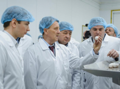 Более 270 миллионов рублей чистой прибыли дополнительно заработала Третьяковская птицефабрика на повышении цен на яйца