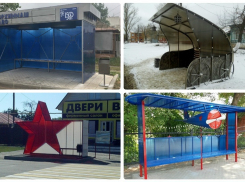 Борисоглебцы проголосовали за остановочный креатив