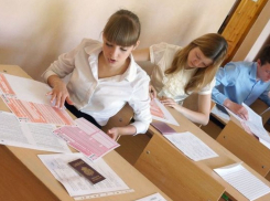 Количество стобалльников на ЕГЭ в Борисоглебском округе выросло до 3-х