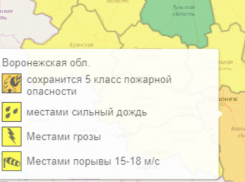 Оранжевый уровень опасности снова установился в Воронежской области из-за комплекса погодных условий