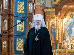   «И Бог любви  и мира будет с нами»: Рождественское послание митрополита Воронежского Сергия 