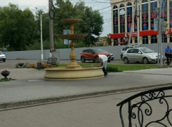 Руководителя пресс-службы Борисоглебского отделения КПРФ заметили за сбором мелочи из фонтана