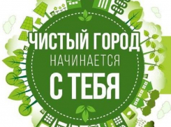 Борисоглебских педагогов приглашают к участию в общероссийском экоуроке