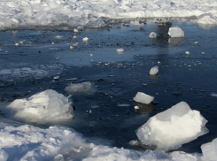 Тело пенсионера спасатели подняли из реки под Борисоглебском