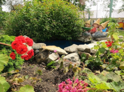 В Воронежской области стартует второй этап конкурса «Самое красивое село»