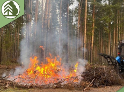 С 15 апреля в Воронежской области начнется особый пожароопасный период