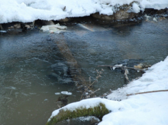 В МЧС напомнили об опасности весеннего льда на водоёмах