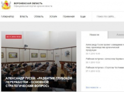 Рупор воронежского правительства оказался на дне всероссийского рейтинга