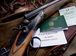 В Воронежской области начал действовать новый формат получения разрешения на оружие