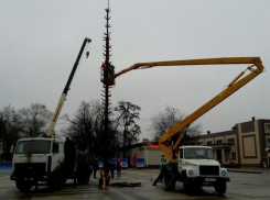 В Борисоглебске начали установку главной новогодней елки