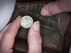 Реальные доходы жителей Воронежской области упали на 5% с начала года