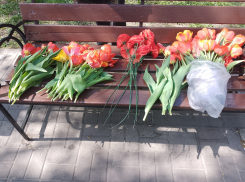  В Борисоглебске отметили 155-й День рождения В.И. Ленина