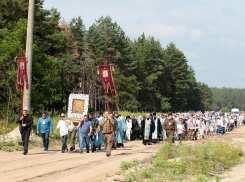 Среди сумасшествия и безумия росток веры все -равно прорастает: в Борисоглебске прошел Крестный ход 