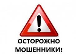 На прошедшей неделе в Воронежской области активизировались мошенники