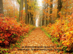 В лесах Воронежской области официально завершен пожароопасный сезон