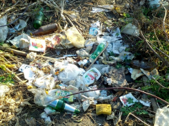 В Борисоглебске местные жители превратили территорию бывшего КВД в мусорную свалку