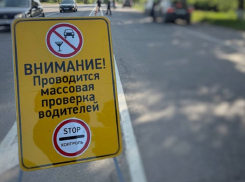 Профилактическое мероприятие «Безопасная дорога» пройдёт на территории Борисоглебского городского округа 