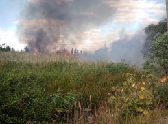Ландшафтный пожар вспыхнул в поселке Грибановский в субботу