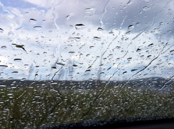 Синоптики предупредили жителей Воронежской области о дождях и опасном ветре 