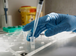 В Борисоглебске открыли лабораторию для тестирования на коронавирус