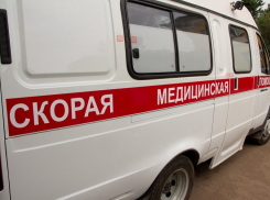Сын убитой 87-летней пенсионерки из Поворинского района покончил с собой