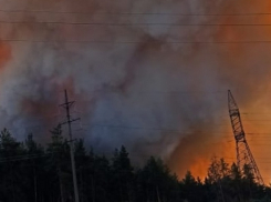 Страшные кадры сняли на видео жители ближайших к пожару под Борисоглебском домов