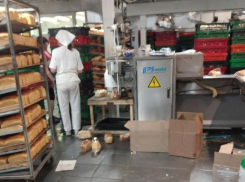 Массу нарушений санитарных норм обнаружили сотрудники  Роспотребнадзора на воронежской хлебозаводе